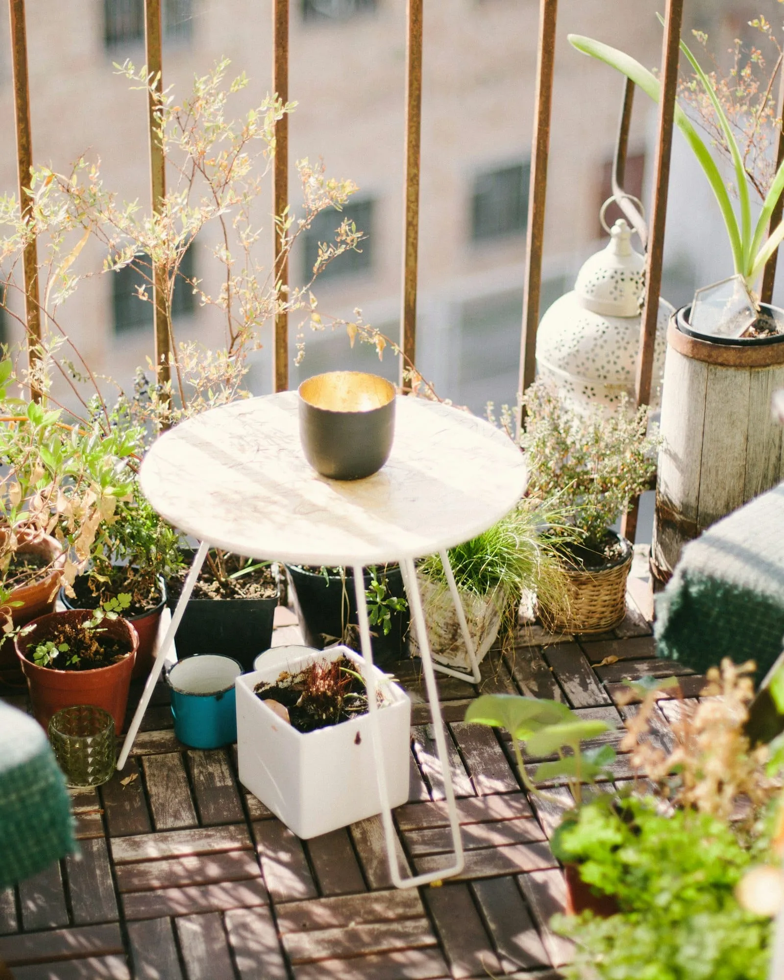 Terrasse jardin plantes